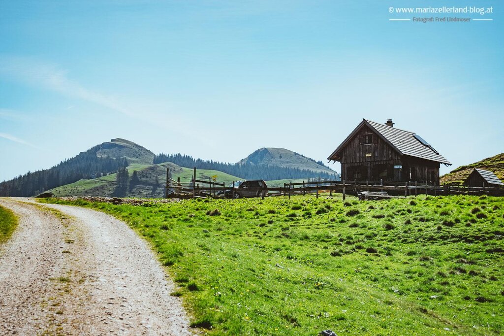 Sennhütte auf dem Dürriegel in Mariazell steiermark